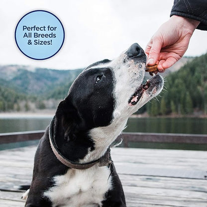Natural Balance Limited Ingredient Mini-Rewards Salmon Grain-Free Dog Training Treats for Dogs | 5.3 Ounce Canister (Pack of 2)