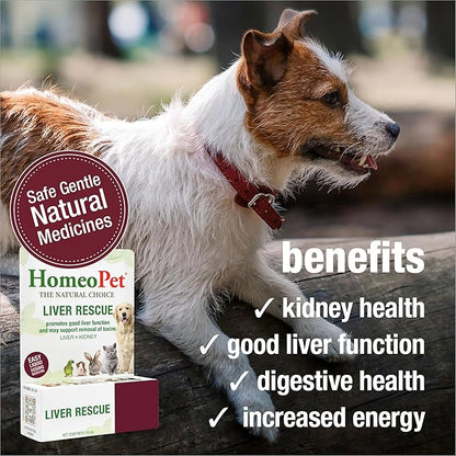 HomeoPet Liver Rescue, Safe and Natural Liver-Support Supplement for Cats, Dogs, and Other Small Animals, 15 Milliliters
