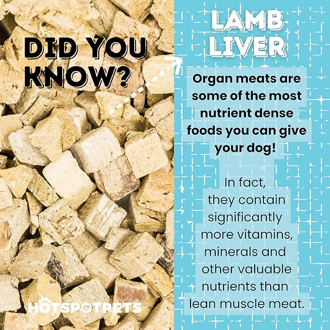 hotspot pets Freeze Dried Lamb Liver Treats for Cats & Dogs (1 Pound Bag 300+ pcs) Made in USA - Healthy, Single Ingredient Training Treats & Cat Snacks, Perfect Bite Size Snack