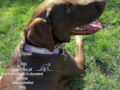 Lucky Love Dog - Adjustable Dog Collar with Easy Click Buckle for Medium, Durable, & Comfortable for Male & Female Dogs, Pet Collar for Puppies & Adult Dogs - Clara, Medium