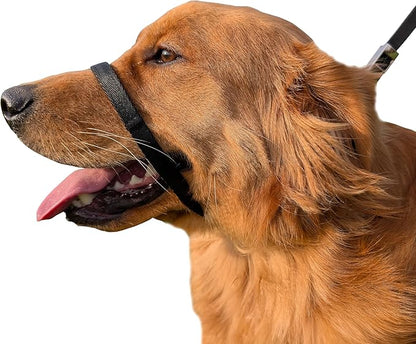 PetsProMax No-Pull Dog Headcollar for Large Dogs (Agressive/Reactive Dogs; Instant Stop Pulling; Gentle Training Collar for Dogs; Comfortable, Safe, and Effective Walking/Training Solution (Black, L)