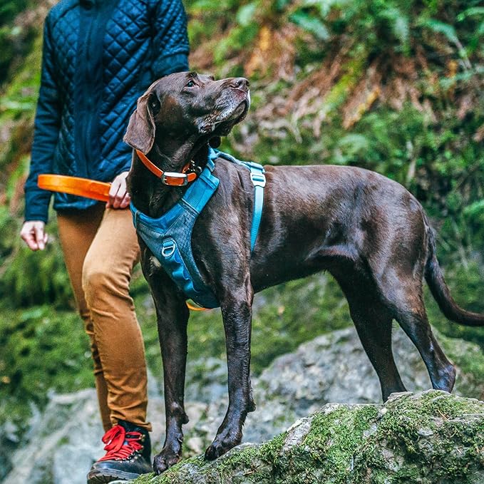 Kurgo Journey Air Dog Harness - Secure Fit for Active Dogs - Padded Chest - Lightweight Ripstop Fabric - Breathable Mesh - Reflective Trim - Back Assist Handle - Coral - Medium