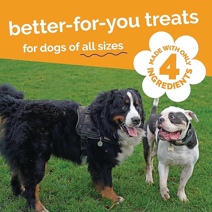 Fruitables Whole Jerky Bites, Healthy Dog Treats, Puppy Essentials, Jerky Dog Treats, Made in the USA, No Artificial Ingredients, Turkey & Sweet Potato Flavor, 5oz