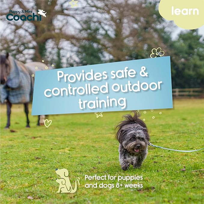 Coachi Puppy & Mini Waterproof Training Line 5m - Safe Outdoor Recall Training, Dog & Puppy Socialisation, Lightweight, Prevents Chasing. Suitable for Puppies and Small Dogs