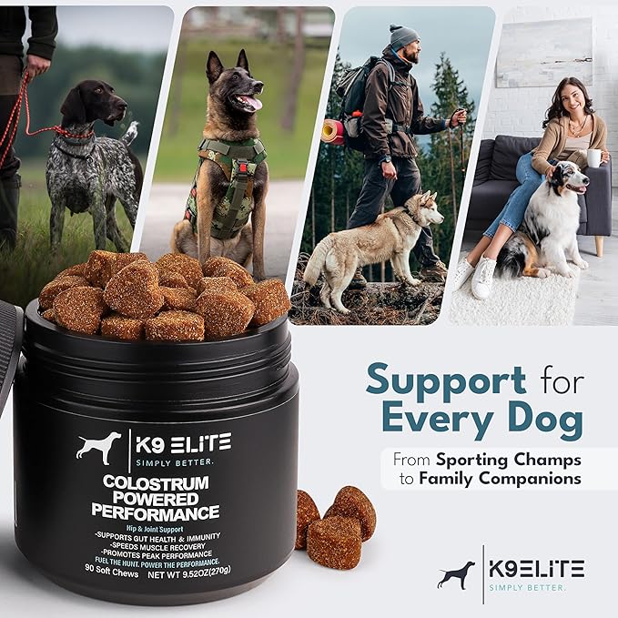 Dog Allergy Relief Chews for Itching Skin – Anti Itch, Gut Health & Immune Support with Colostrum & Omega 3 – Skin & Coat Supplement for Dogs
