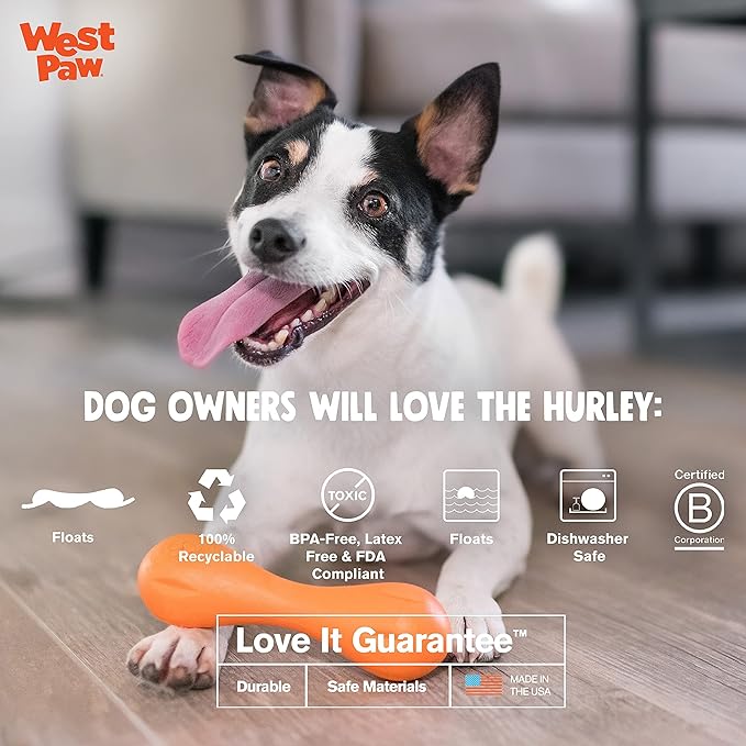 West Paw Zogoflex Hurley Durable Dog Bone Chew Toy for Aggressive Chewers, 100% Guaranteed Tough, It Floats!, Made in USA, X-Small, Tangerine