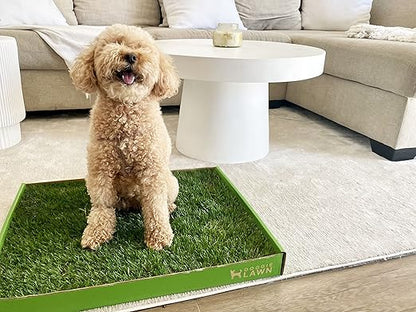 DoggieLawn Real Grass Puppy Pee Pads- 24 x 16 Inches - Perfect Indoor Litter Box for Dogs - No Mess, Easy-to-Use - Potty Training for Pets - Eco-Friendly Disposable Bathroom with Real Living Grass