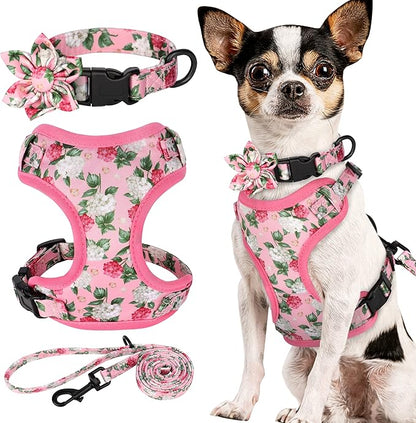Beirui Cute Girl Dog Collars, Harnesses & Leashes Set - Adjustable Dog Collar and Leash Set with Flower - Soft Mesh Dog Vest Harness for Puppies Small & Extra Small Dogs Cats(Pink,XXS)