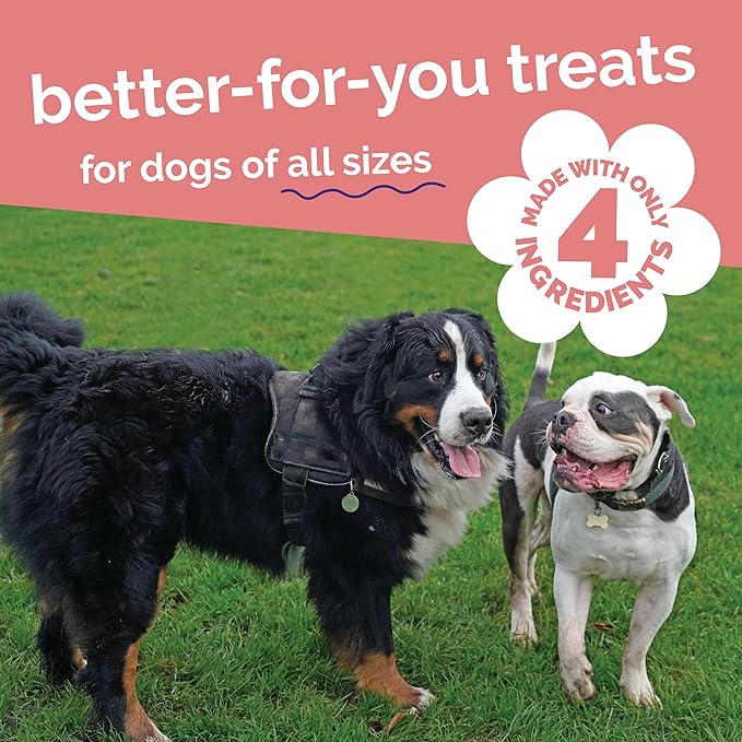 Fruitables Whole Jerky Bites, Healthy Dog Treats, Puppy Essentials, Jerky Dog Treats, Made in the USA, No Artificial Ingredients, Alaskan Salmon & Pear Flavor, 5oz (Pack of 2)