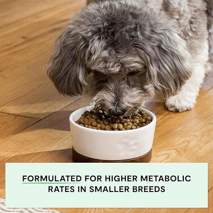 Open Farm, Grain-Free Dry Dog Food for Small Breeds, High-Protein Kibble, Sustainably & Ethically Sourced Ingredients, Non-GMO Veggies & Superfoods, Chicken & Turkey Recipe for Small Dogs, 11lb Bag
