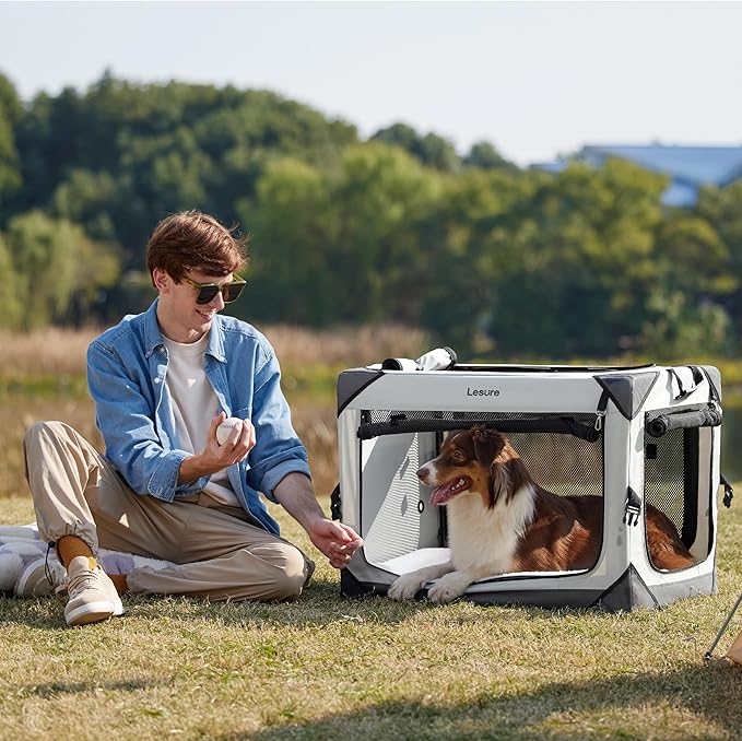 Lesure Collapsible Dog Crate - Portable Travel Kennel for Medium Dog, 4-Door Pet Crate with Mesh Windows, Indoor & Outdoor, Light Gray
