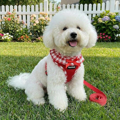 SuperBuddy Upgraded Soft Mesh Dog Harness Super Breathable Lightweight Pet Harnesses for Puppy Dogs Outdoor Walking, Red Dog Harness and Dog Leash Set Packing -Large