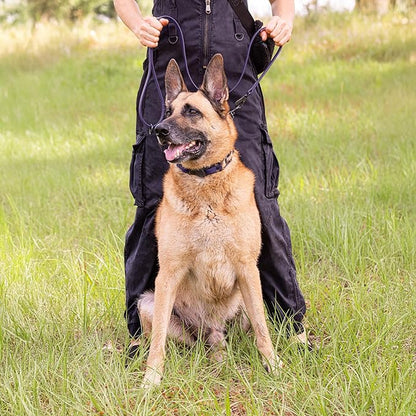 Herm Sprenger Black Stainless Steel Dog Collar with Quick Release ClicLock Buckle O-Ring Biothane Insert Training Collar Made in Germany (Violet Purple, 25in x 4.0mm(Neck Size up to21-22in))