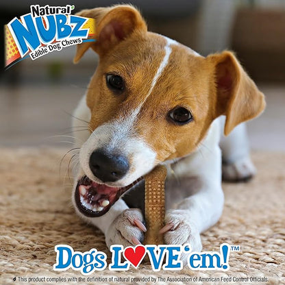 Nylabone Nubz Wild Natural Dog Chew Treats for Small Dogs, Long Lasting Dog Chew Bones Made in USA, Bison Flavor, for Dogs Up to 25 lbs. (12 Count)
