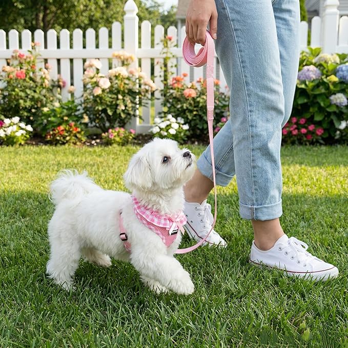 SuperBuddy Upgraded Soft Mesh Dog Harness, Super Breathable Lightweight Pet Harnesses for Puppy Dogs Outdoor Walking, Pink Dog Harness and Dog Leash Set Packing -Large