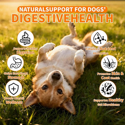 Probiotics for Dogs - 6 Digestive Probiotics & 6 Enzymes for Itchy Skin,Digestion & Gut Support,Helps Diarrhea, Yeast Infection, Upset Stomach,Allergies & Immune System Support-150 Chews