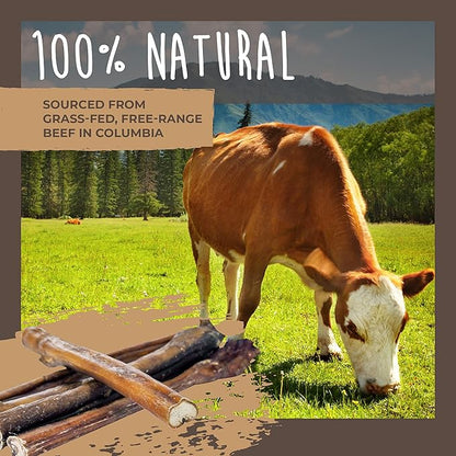 Mighty Paw Naturals Variety Pack Bully Sticks for Dogs - Grass Fed Beef Chews. Dog Bully Sticks for Large Pets, Medium and Small Breeds. Lower Odor Treats for Small Pets. Single Ingredient