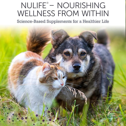 NuLife Hepato Support - Liver Support for Dogs and Cats with Silymarin - Contains Milk Thistle for Dogs & Cats and Vitamin B Complex (B1, B2, B6, B12) - Promotes Canine & Feline Hepatic Health - 90ct