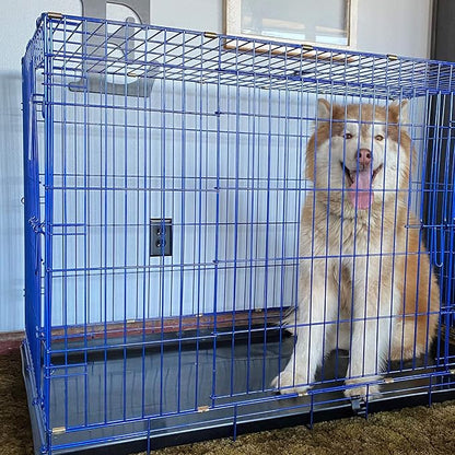 PET Expressions Luxury Colorful 48 Inch Foldable Dog Crate with 2 Doors | Free Training Ebook and Pet Calming Music | 3 Colors & 3