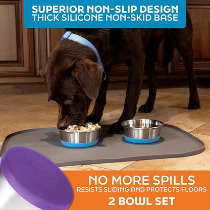 Master Pet Supply Stainless Steel Dog Bowls Set of 2 with Extra Thick Silicone Base - 4 Cup (32 oz) Plum Crazy, Non-Slip, Dishwasher Safe Metal Bowls, Pet Dog Food Bowl for Dogs, Cats, Anti Rust