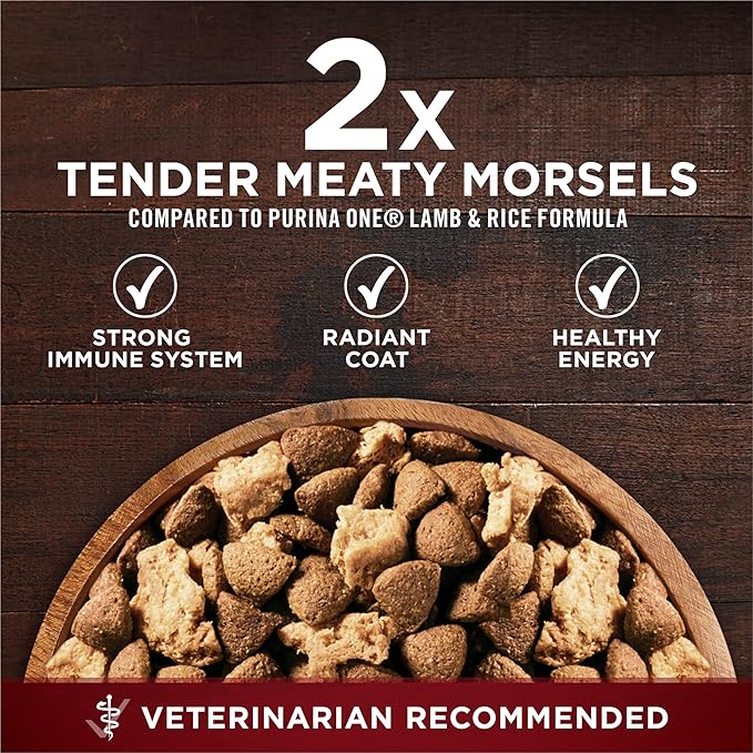 Purina ONE Natural High Protein Dry Dog Food Dry True Instinct with Real Beef and Salmon With Bone Broth and Added Vitamins, Minerals and Nutrients - (Pack of 4) 3.8 lb. Bags
