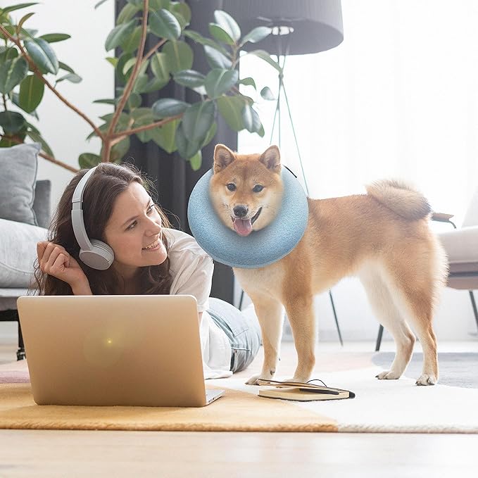 Big Ant Protective Inflatable Collar for Dogs and Cats, Soft Cone for Dogs After Surgery, Dog Neck Donut Collar, Dog Cone Collar Soft Pet Recovery Collar Does Not Block Vision E-Collar (Small, Blue)
