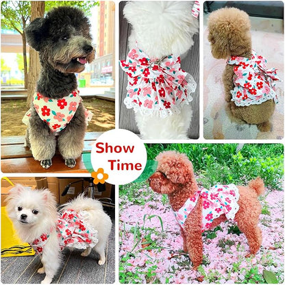 ABRRLO Cute Floral Dog Harness Dress and Leash Set for Small Dogs Cats Girl Puppy Bowknot Princess Birthday Dress Summer Female Pet Small Dog Clothes Lace Doggie Kitten Outfits Apparel(Red,XS)