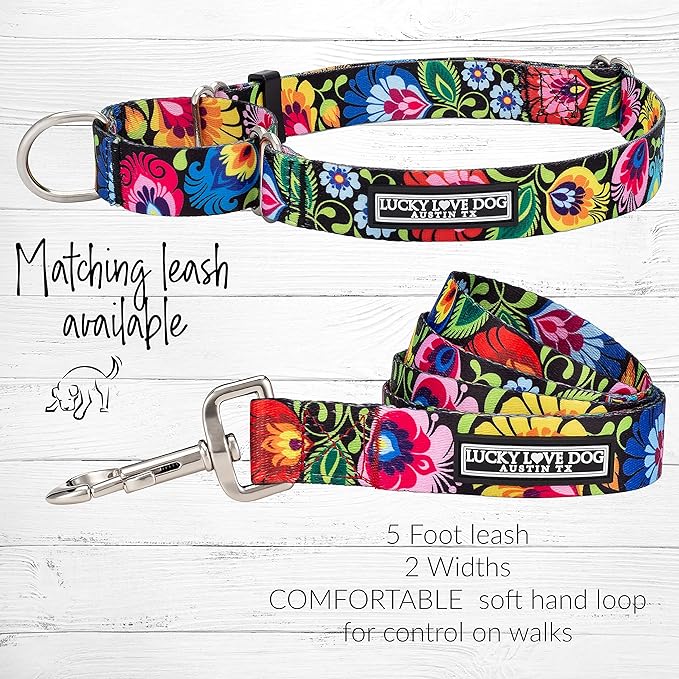 Lucky Love Dog Martingale Dog Collar - Adjustable, No-Slip, Durable, & Soft Webbing Collar for Male and Female Dogs Ideal for Training & Walking - Blackbird, Small