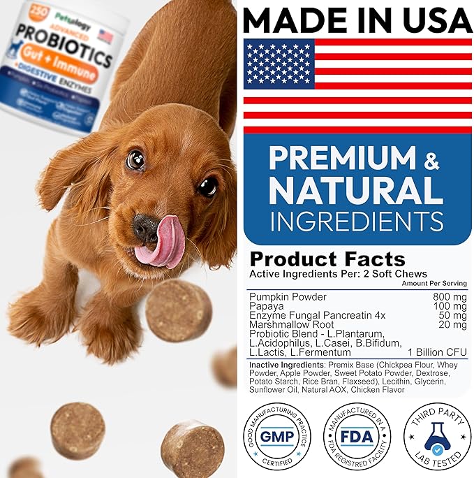 Probiotics for Dogs - 250 Dog Probiotics Chews - Digestive Enzymes & Prebiotics - Support Gut Health, Diarrhea, Gas & Constipation Relief - Itchy Skin, Allergies, Yeast Balance - Advanced Supplement