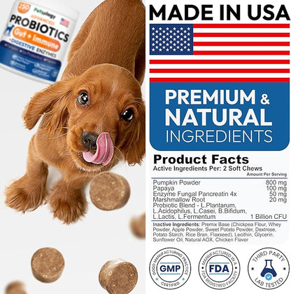 Probiotics for Dogs - 250 Dog Probiotics Chews - Digestive Enzymes & Prebiotics - Support Gut Health, Diarrhea, Gas & Constipation Relief - Itchy Skin, Allergies, Yeast Balance - Advanced Supplement