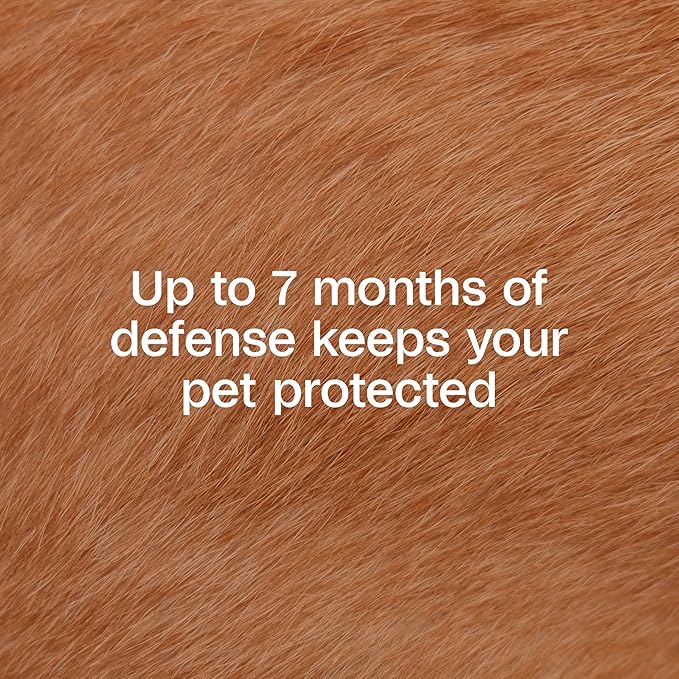 ADAMS Plus Flea & Tick Collar for Small Dogs, Flea Collar for 7-Month Prevention, Adjustable Collar Fits Small Dogs & Puppies, Kills Fleas & Ticks, 1 Count