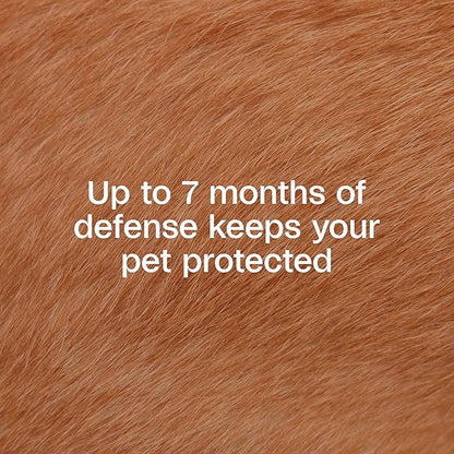 ADAMS Plus Flea & Tick Collar for Large Dogs, Flea Collar for 7-Month Prevention, Adjustable Collar Fits Large Dogs & Puppies, Kills Fleas & Ticks, 1 Count