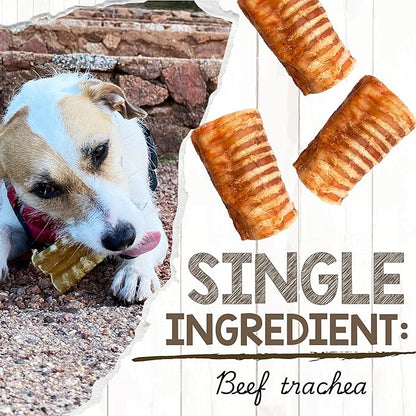 Nature Gnaws Beef Trachea Chews for Dogs 3" (12 Count) - Long Lasting Natural Crunchy Dog Chew Bones - Rawhide Free
