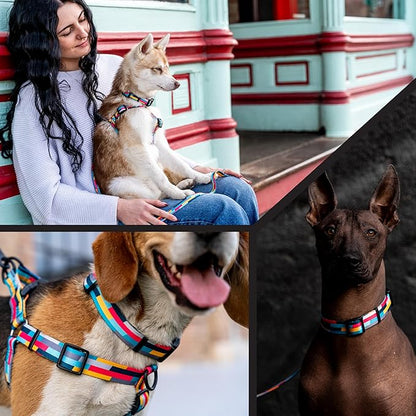 Wolfgang Heavy Duty Martingale Dog Collar with Quick Release Nylon Buckle for Walking & Training, Mixtape Print, Large