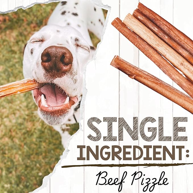 Nature Gnaws Bully Sticks for Dogs 11-12" (8oz) - Mixed Thickness - Long Lasting for Aggressive Chewers and Large Dogs - Natural Beef Dog Chew Bones