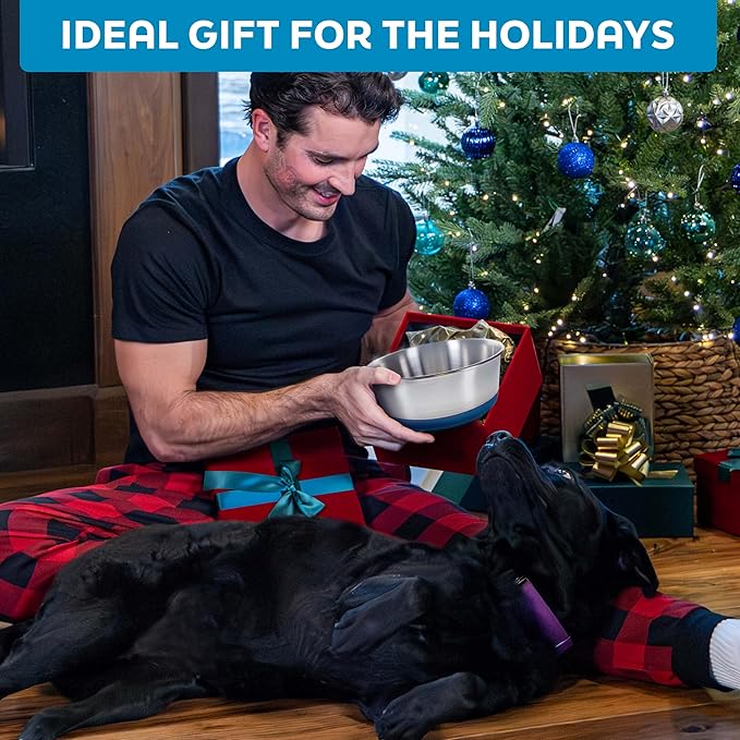 Master Pet Supply Stainless Steel Dog Bowls Set of 2 with Extra Thick Silicone Base - 4 Cup (32 oz) Mango Tango, Non-Slip, Dishwasher Safe Metal Bowls, Pet Dog Food Bowl for Dogs, Cats, Anti Rust
