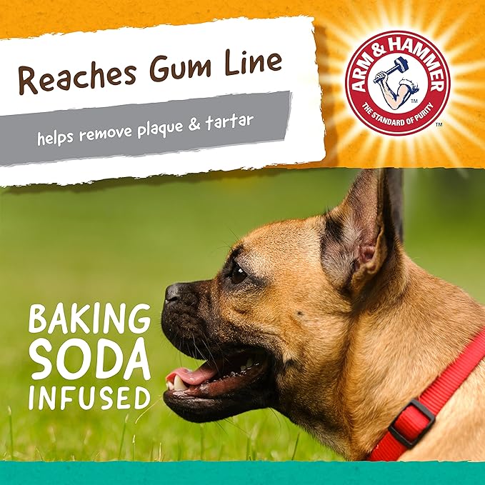 Arm & Hammer for Pets Super Treadz Gorilla Dental Chew Toy for Dogs - Dog Dental Chew Toys Reduce Plaque & Tartar Buildup Without Brushing - Safe for Dogs up to 35 Lbs