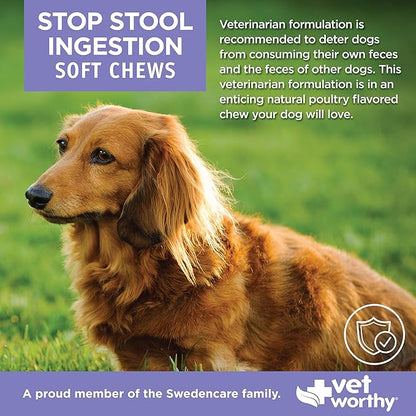 Vet Worthy Coprophagia Deterrent for Dogs - Pet Supplement with Chamomile, Yucca Schidigera to Stop Stool Eating for Dogs - Contains Parsley to Naturally Freshen Breath - 60 Soft Chews
