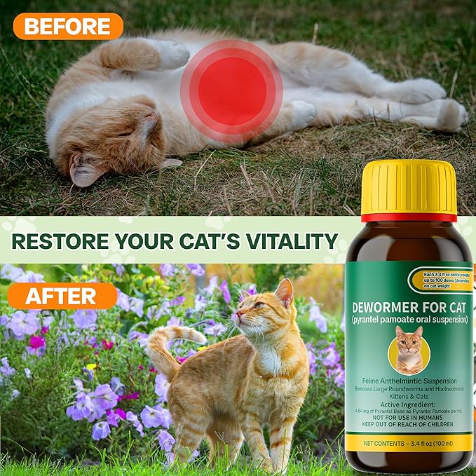 Cat & Kitten Dewormer for All Wormers, Pyrantel Pamoate, Roundworms & Hookworms, Liquid, 100ml