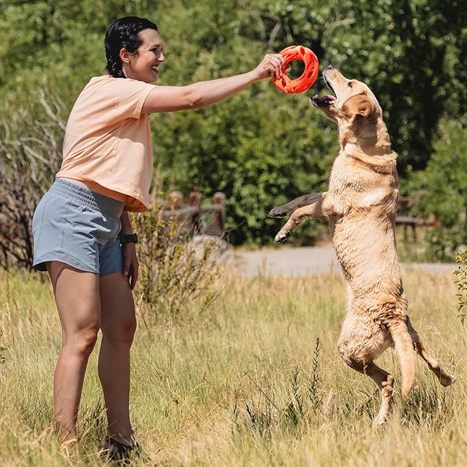 Chuckit! Air Fetch Wheel Dog Toy, Orange