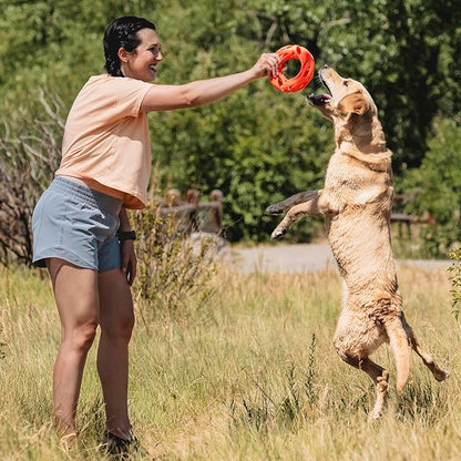 Chuckit! Air Fetch Wheel Dog Toy, Orange