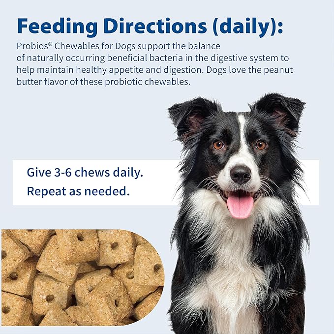 Probios Digestive Support Chewables for Dogs, Daily Probiotic Supplement for Gut Health, Digestion & Immune Support, 1 lb (Pack of 3)