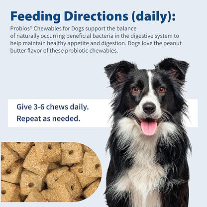Probios Digestive Support Chewables for Dogs, Daily Probiotic Supplement for Gut Health, Digestion & Immune Support, 1 lb (Pack of 3)