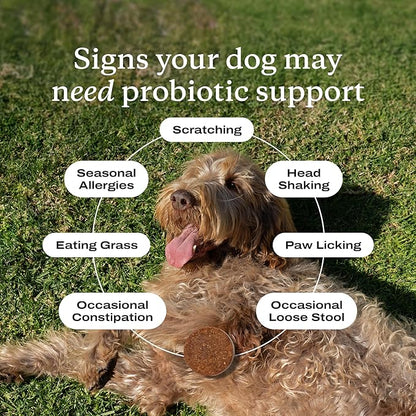 PetLab Co. Probiotics for Dogs, Support Gut Health, Occasional Diarrhea, Digestive Health & Seasonal Allergies - Pork Flavor - 30 Soft Chews - Packaging May Vary