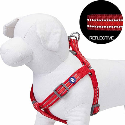 Blueberry Pet Essentials Reflective Back to Basics Matching Dog Harness and Leash Set, Rouge Red, Adjustable Harness with 5 ft Leash for Medium Dogs