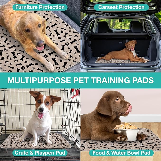 Furthrive Washable Pee Pads for Dogs with Pheromone Attraction, Reusable Puppy Pads, Waterproof Non-Slip Training Pad, 31.25 × 27.25 in, Pet-Friendly for Crates, Apartments, Puppy Supplies (One Unit)