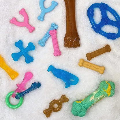 Nylabone Ring Bone Puppy Chew Toy for Puppies, Soothing Teething Toys for Puppies, Puppy Enrichment Toys, Long Lasting Chicken Flavor, For Medium Dogs - Up to 35 lbs, 1 Count