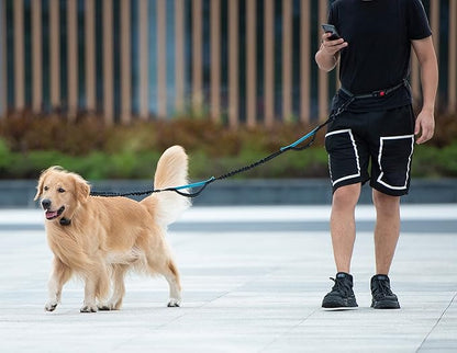 iYoShop Hands Free Dog Leash with Zipper Pouch, Dual Padded Handles and Durable Bungee for Walking, Jogging and Running Your Dog (Large, 25-120 lbs, Military Green)