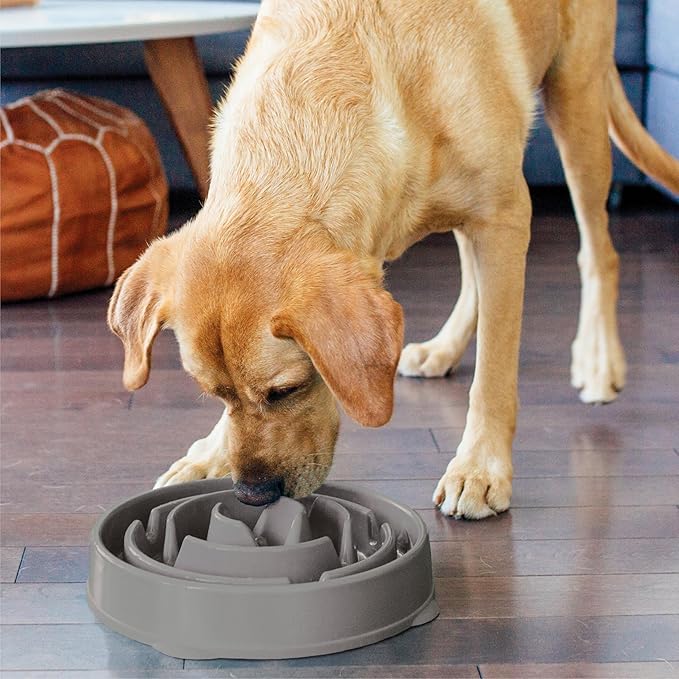 Outward Hound Fun Feeder Slo Bowl – Large 4‑Cup Capacity, Slow Feeding, Medium to Large Dogs, Non‑Slip, Gray, Drop Pattern