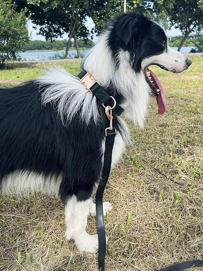 Dog Collar and Leash Set.Soft and Easy to Clean Vegan Leather with Rose Gold Metal Buckle for Small Medium Large Dogs (Black, L(15.4”-24.8“)